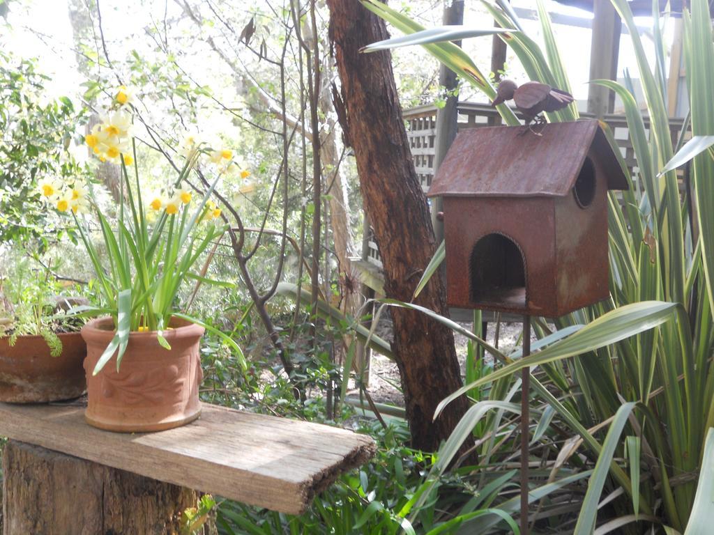 Astley Cottage 戴尔斯福特 客房 照片