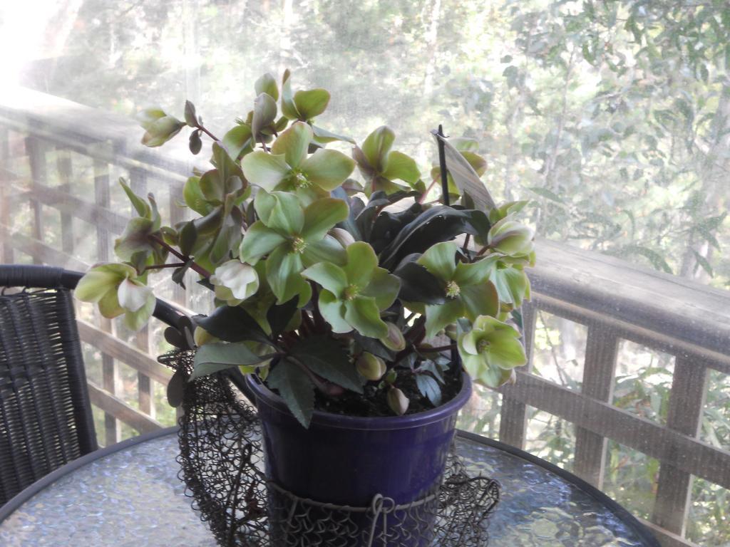 Astley Cottage 戴尔斯福特 客房 照片
