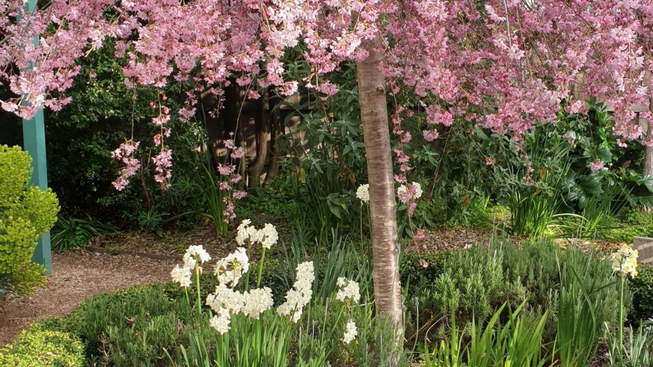 Astley Cottage 戴尔斯福特 外观 照片